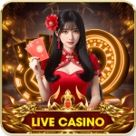 Live Casino HAYWIN